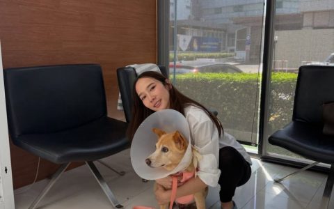 泰星经纪与商务合作服务