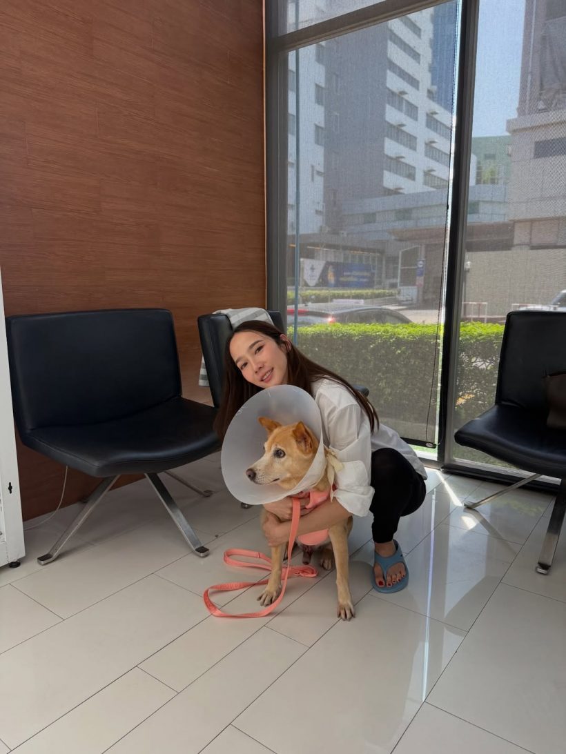 泰星经纪与商务合作服务