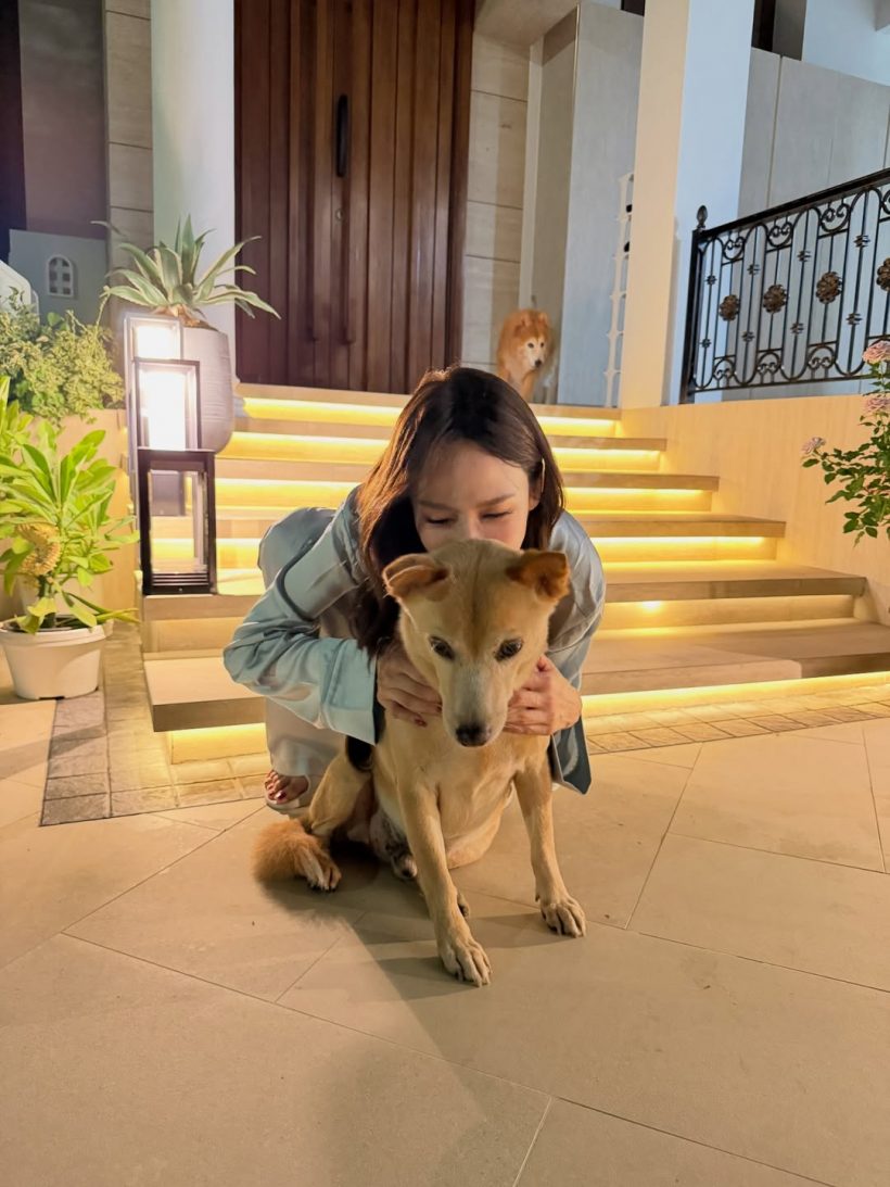 泰星经纪与商务合作服务