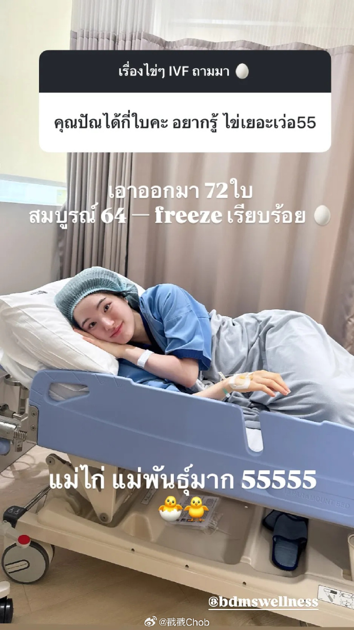 不急当妈先当“母鸡” Punpun冻卵72颗备未来