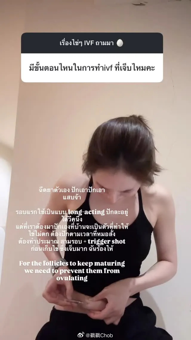 不急当妈先当“母鸡” Punpun冻卵72颗备未来