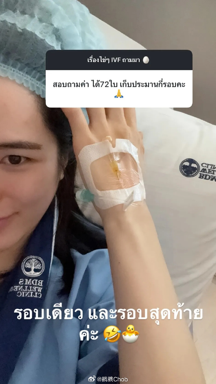 不急当妈先当“母鸡” Punpun冻卵72颗备未来