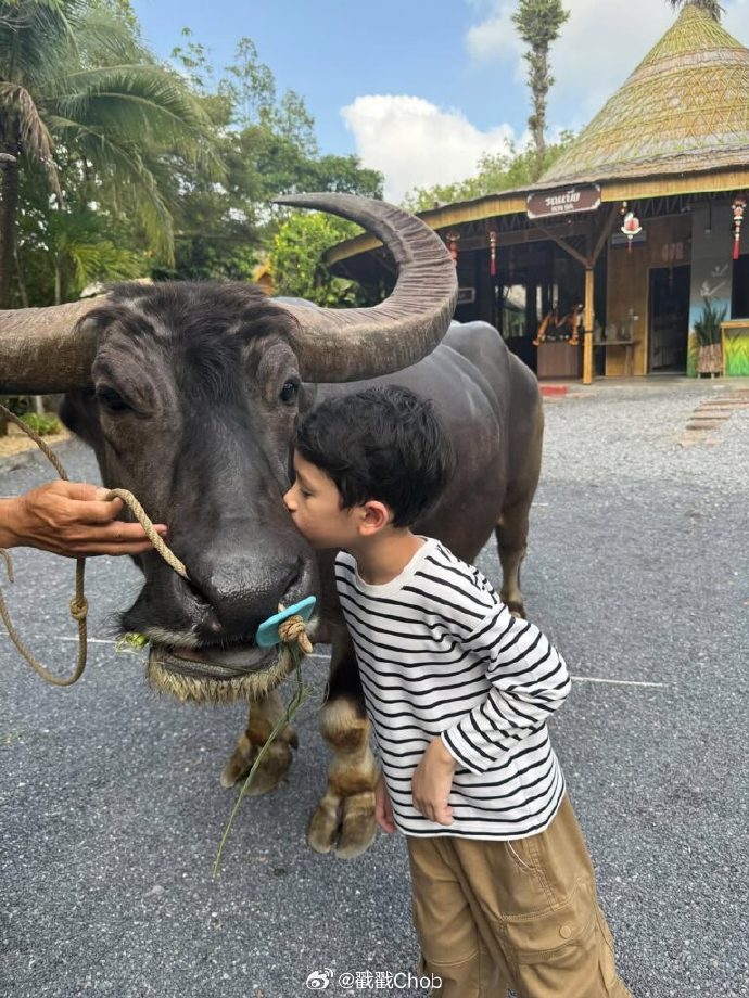 从演员到果园主！Shahkrit Yamnam谈榴莲产业困境