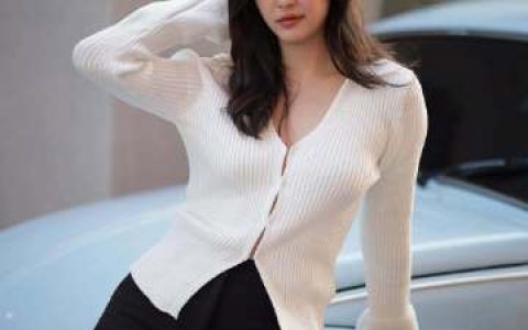 酒驾案认罪！Marie Broenner与男友双双获刑