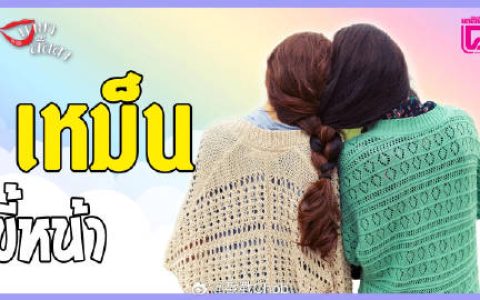 当红百合荧幕情侣传不和！两人被曝早有嫌隙