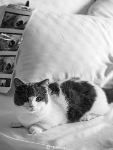 Ananda Everingham升级当准爸爸 妻子晒超声波照报喜