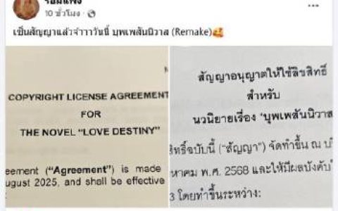 《天生一对》宣布翻拍 网友意见两极化