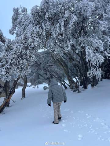 老公越老越帅 Chompoo Araya甜曝Nott魅力胜当年
