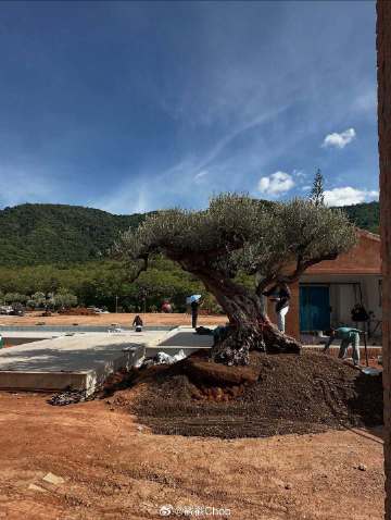 斥资数千万打造梦幻庄园 Yaya Urassaya落泪入住新家