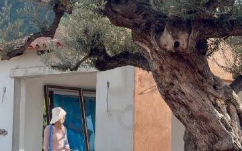 斥资数千万打造梦幻庄园 Yaya Urassaya落泪入住新家