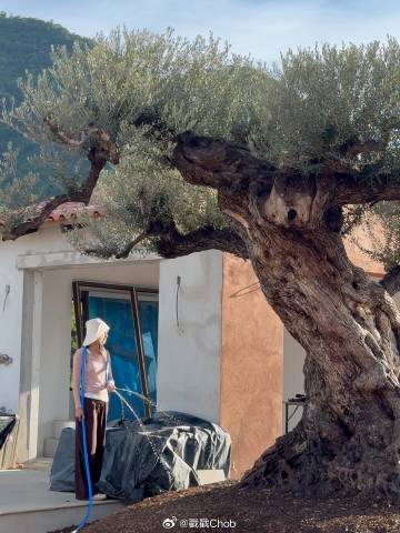 斥资数千万打造梦幻庄园 Yaya Urassaya落泪入住新家