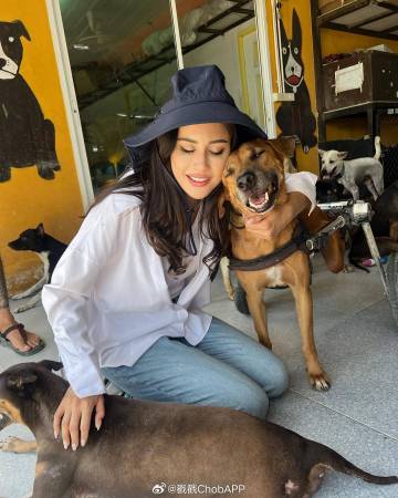 Aum Patchrapa与Poo Praya久违同框！探访流浪狗传递爱心