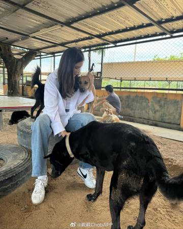 Aum Patchrapa与Poo Praya久违同框！探访流浪狗传递爱心