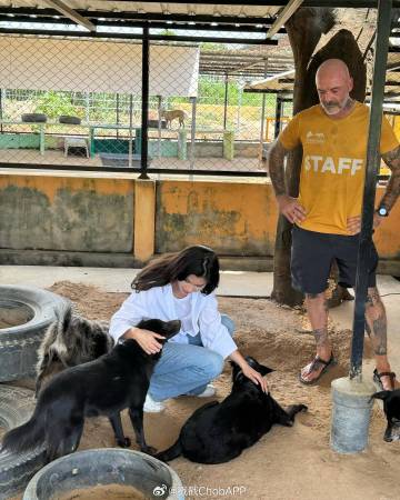 Aum Patchrapa与Poo Praya久违同框！探访流浪狗传递爱心
