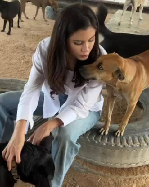 Aum Patchrapa与Poo Praya久违同框！探访流浪狗传递爱心