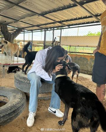 Aum Patchrapa与Poo Praya久违同框！探访流浪狗传递爱心