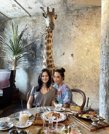 Ploy Chermarn吐槽泰剧老套欲转型国际市场,否认与Claudine情变