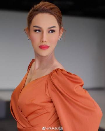 Anna TVPool被警方带走画面曝光引争议，律师批侵犯被告权利