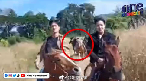 ONE31男星Film Thanapat排练坠马受伤头部挫伤 本人发文报平安无大碍