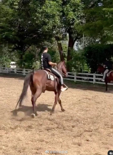 ONE31男星Film Thanapat排练坠马受伤头部挫伤 本人发文报平安无大碍