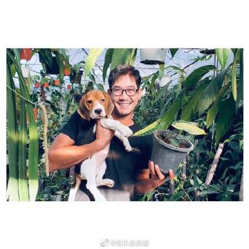 Weir与Bella分手传闻再引热议 名嘴与网友说法不一租车事件真相仍待澄清