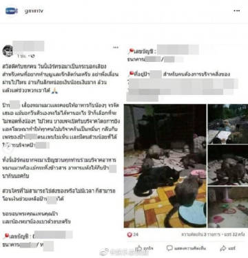 GMMTV发声明警告冒用Earth Pirapat身份诈骗行为 将采取法律行动维护艺人权益