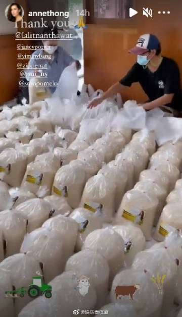 Anne Thongprasom购入超两吨大米助农民 将加工后分发给有需要民众