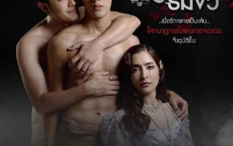 三台收视表现引关注 《双生花》收视1.9不敌七台与八台同档剧集