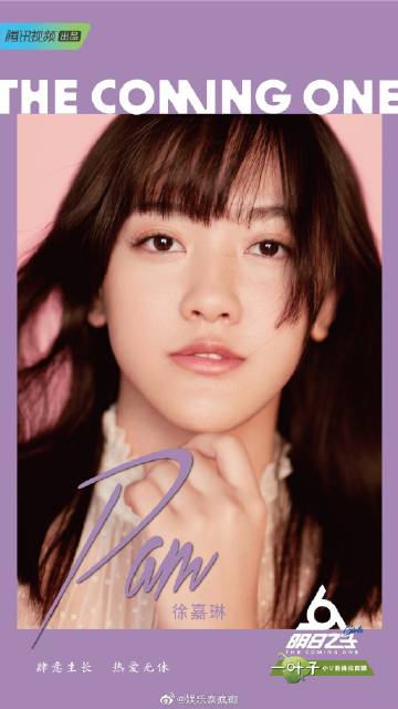 通过中国选秀节目走红的泰国女艺人：Sunnee杨芸晴、MiMi Lee李紫婷、Pam徐嘉琳、Nene郑乃馨引发关注