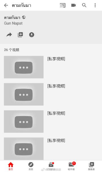 爆料称Gun Napat与Marie Broenner疑似分手 两人频道视频设为私人引发网友猜测