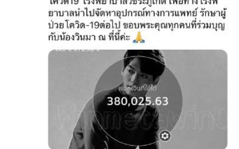 Win Metawin粉丝团募集38万泰铢捐助三家医院支援抗疫