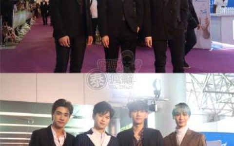 Nine Entertain Awards 2019圆满举行《天生一对》成大赢家 Bella Ranee、James Jirayu获重要奖项