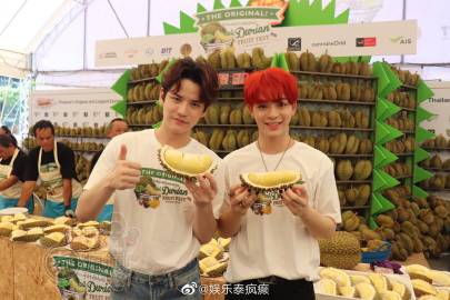 泰国水果狂欢节发布会登场《2 Brothers》主演亮相助阵