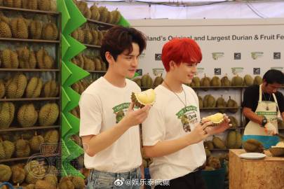 泰国水果狂欢节发布会登场《2 Brothers》主演亮相助阵