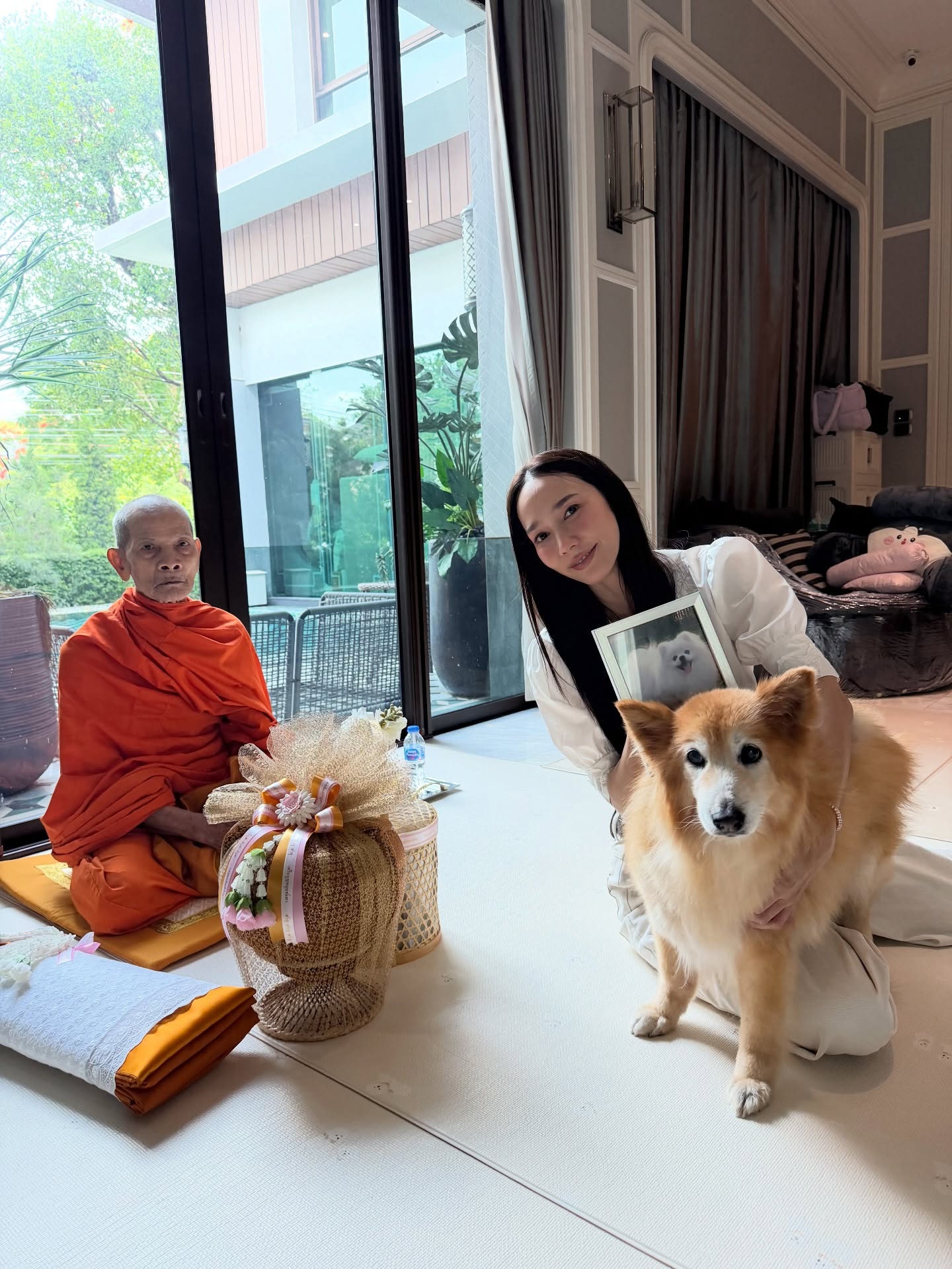 爱犬离开1年 Aum仍每天准备食物太催泪
