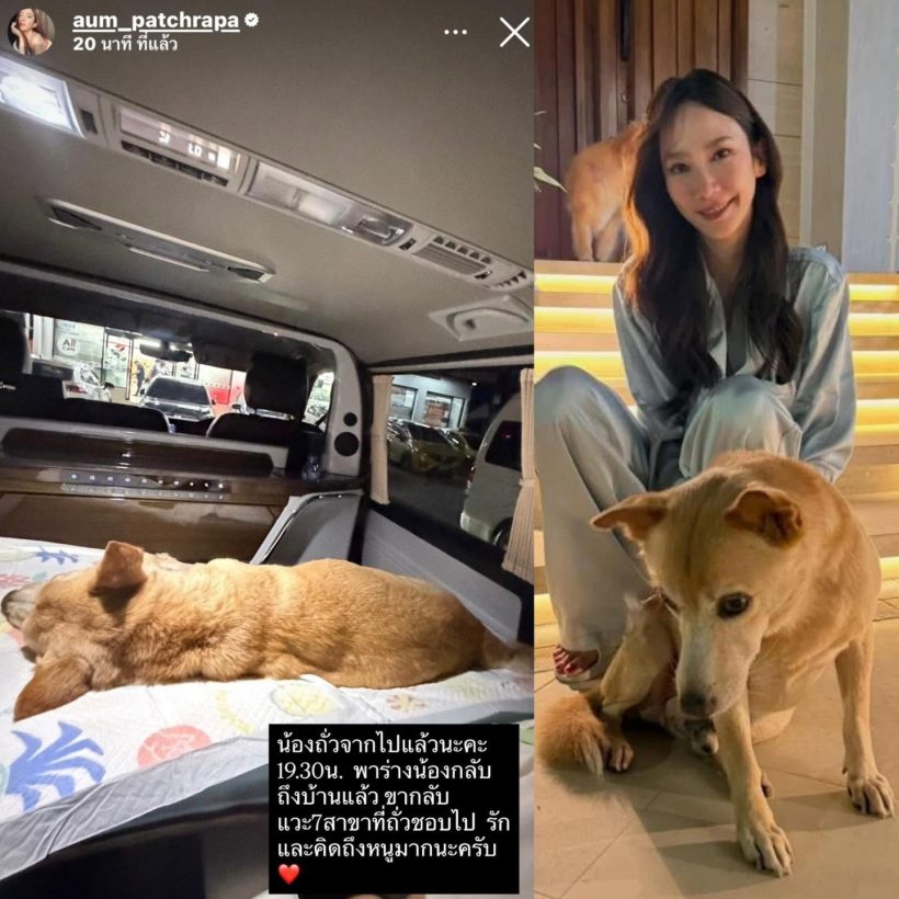 陪伴多年终告别 Aum Patchrapa发文悼念爱犬