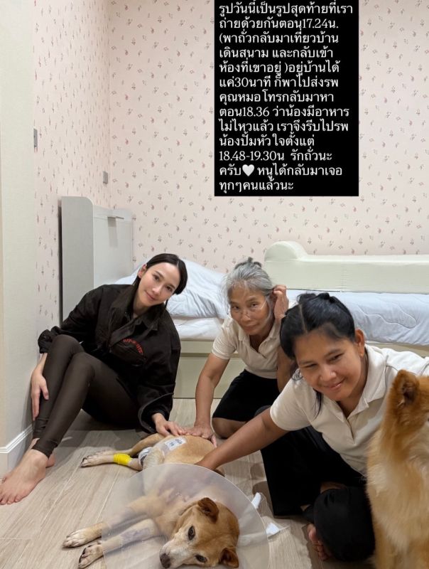 陪伴多年终告别 Aum Patchrapa发文悼念爱犬