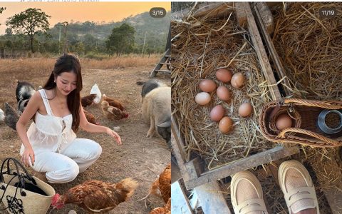 恋情线索藏不住！Nine与神秘女子同地点打卡引关注