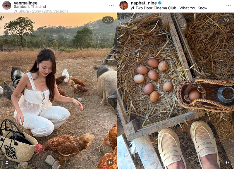 恋情线索藏不住！Nine与神秘女子同地点打卡引关注