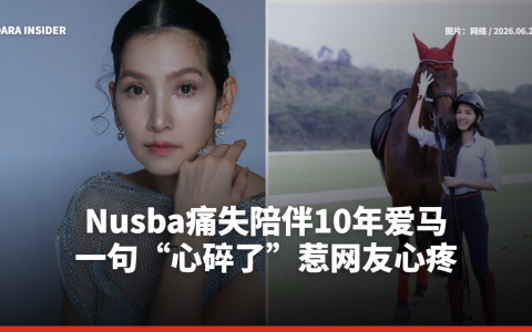 Nusba痛失陪伴10年爱马 一句“心碎了”惹网友心疼