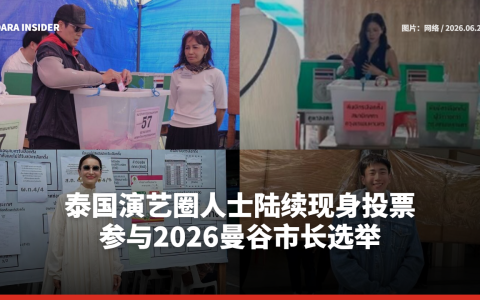 泰国演艺圈人士陆续现身投票 参与2026曼谷市长选举
