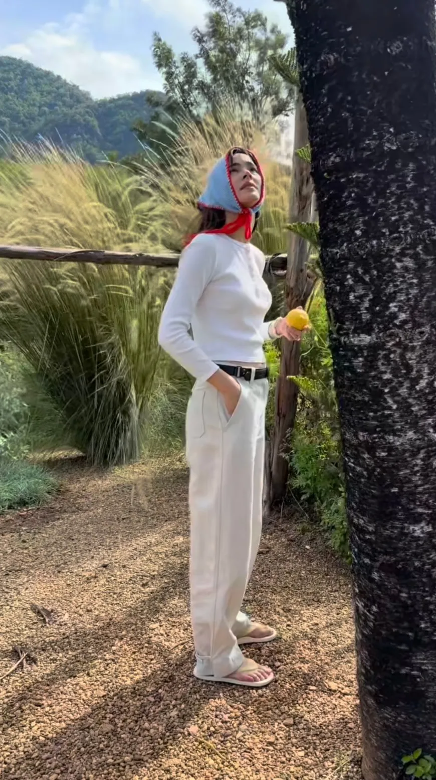 Yaya陪家人考艾度假 田园美景让粉丝羡慕