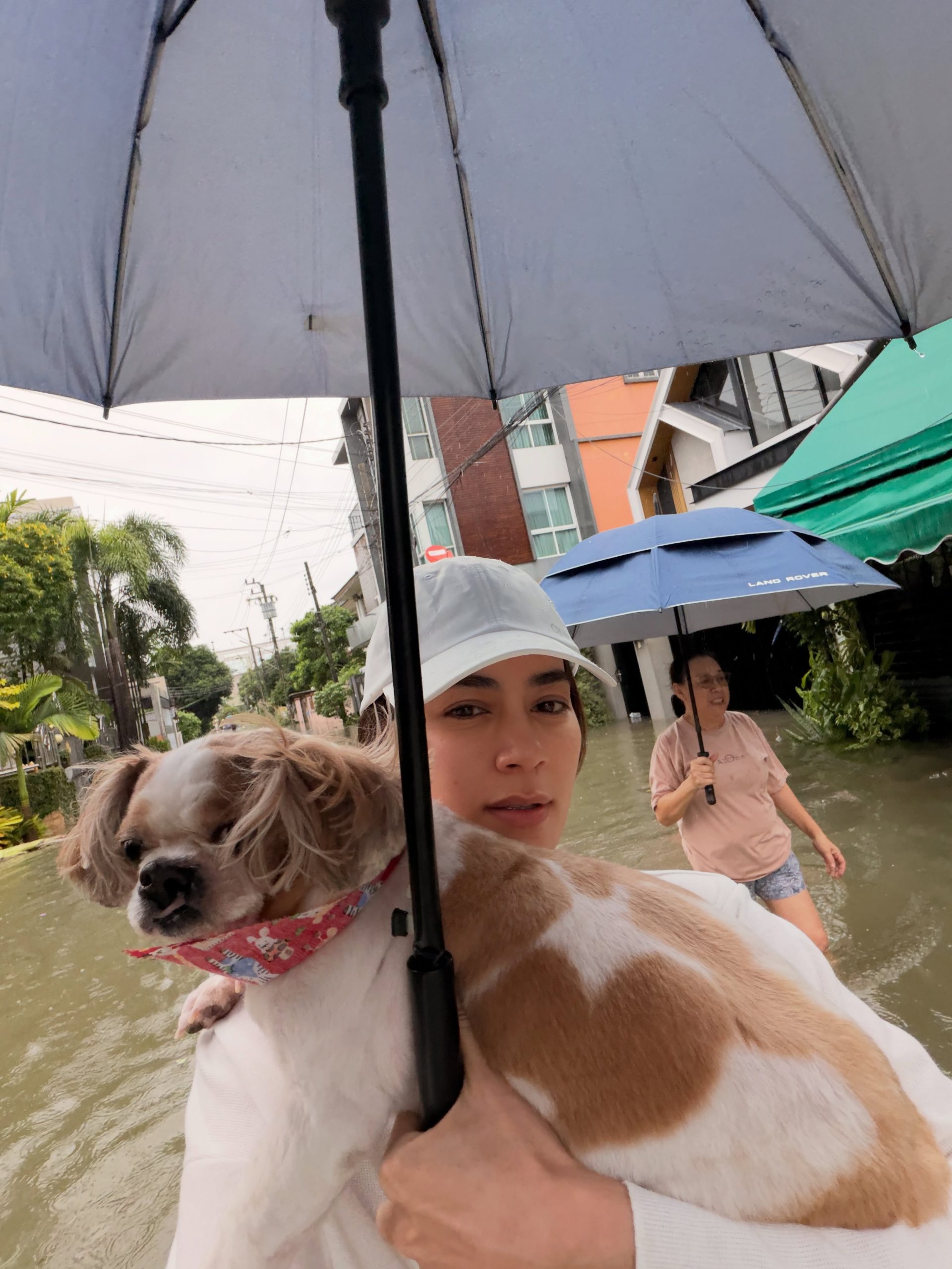 曼谷暴雨多地积水！Mark-Kimberley抱爱犬涉水撤离