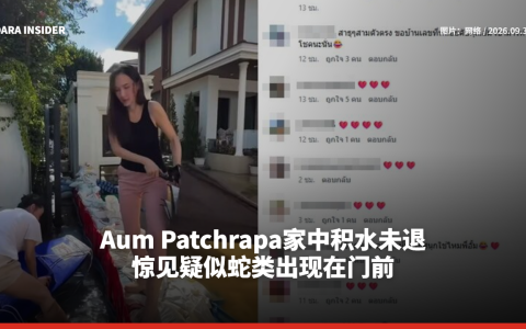 Aum Patchrapa家中积水未退 惊见疑似蛇类出现在门前