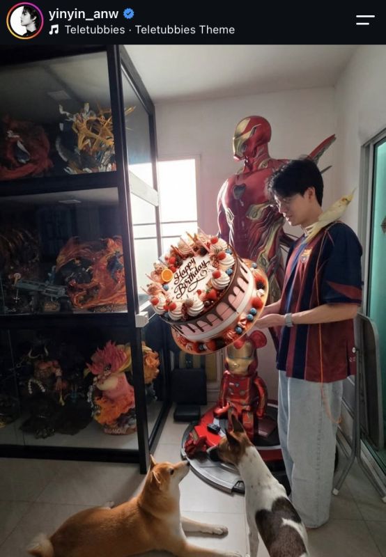 Yin Anan温馨庆祝28岁生日 感谢好友与宠物伙伴陪伴